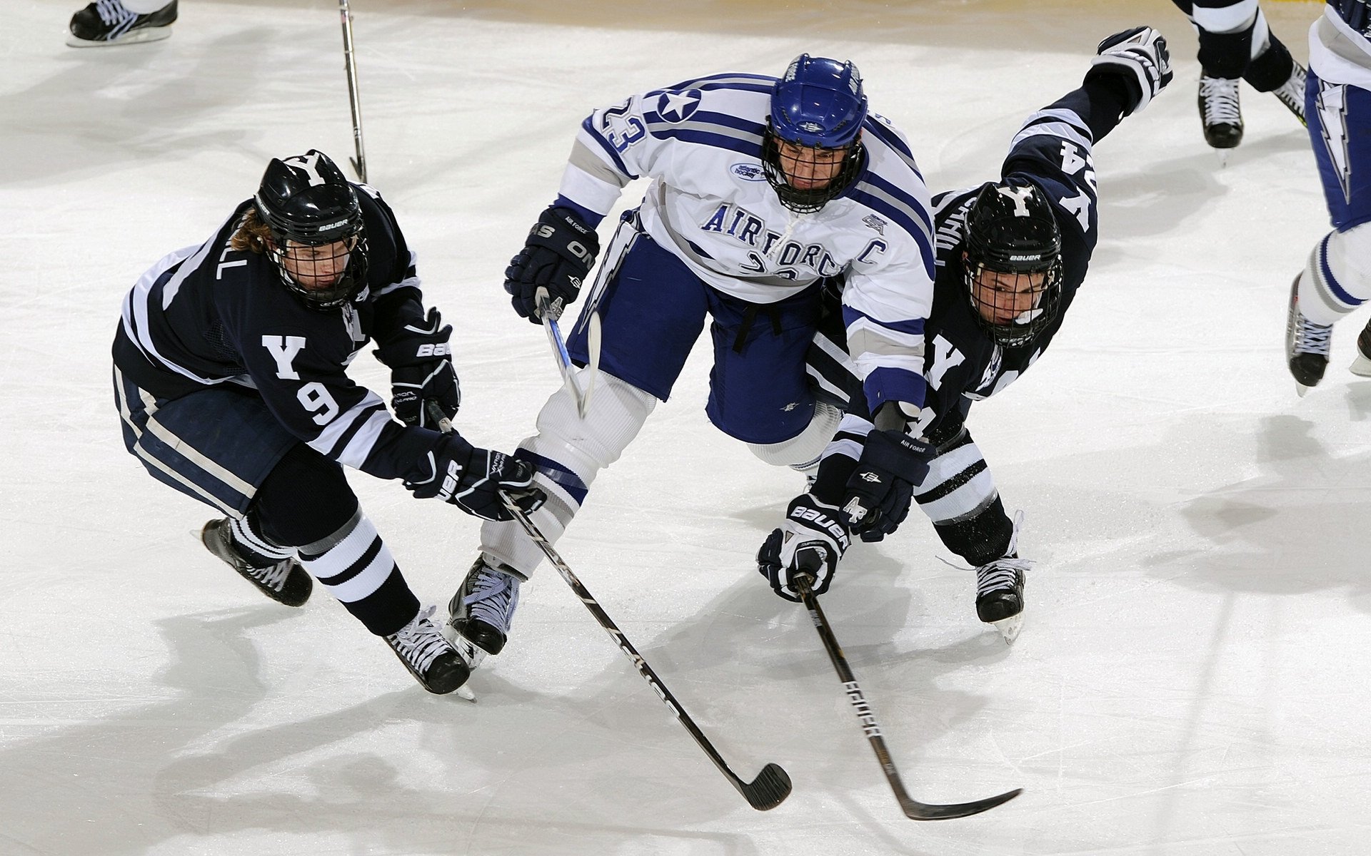 《电子竞技运动员的科学训练：让比赛更专业》，电子竞技的训练内容
