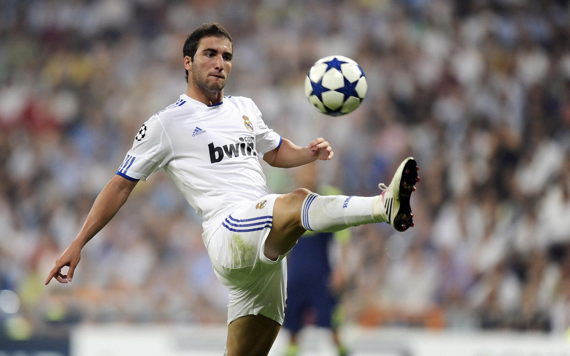 爱游戏娱乐网址-马尔科斯·达尔梅达在2024年南美锦标赛中以完美的30分收尾，赢得冠军